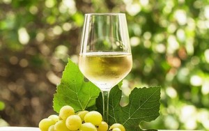 vino bianco